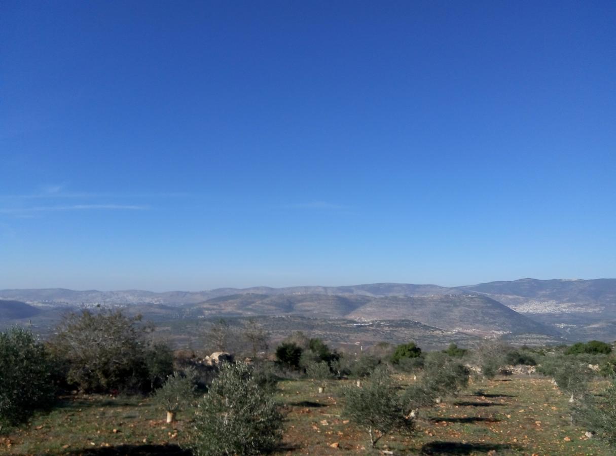 Cabin In The View Villa Hararit Esterno foto